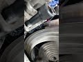 Daya 800 mm