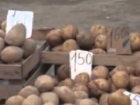 დაპირება  25645 - არ დაიჯერო!