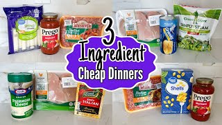 Quick & Easy 3INGREDIENT Dinners You Can Make TONIGHT! | Tasty Cheaper Meal Ideas | Julia Pacheco