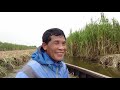 Vietnam || Rural life in U Minh Thuong || Kien Giang Province