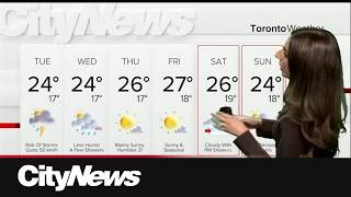 Muggy conditions, rain showers hit Toronto