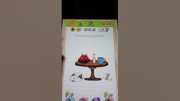 Show me your Patience Level No 85 Brain Test Game