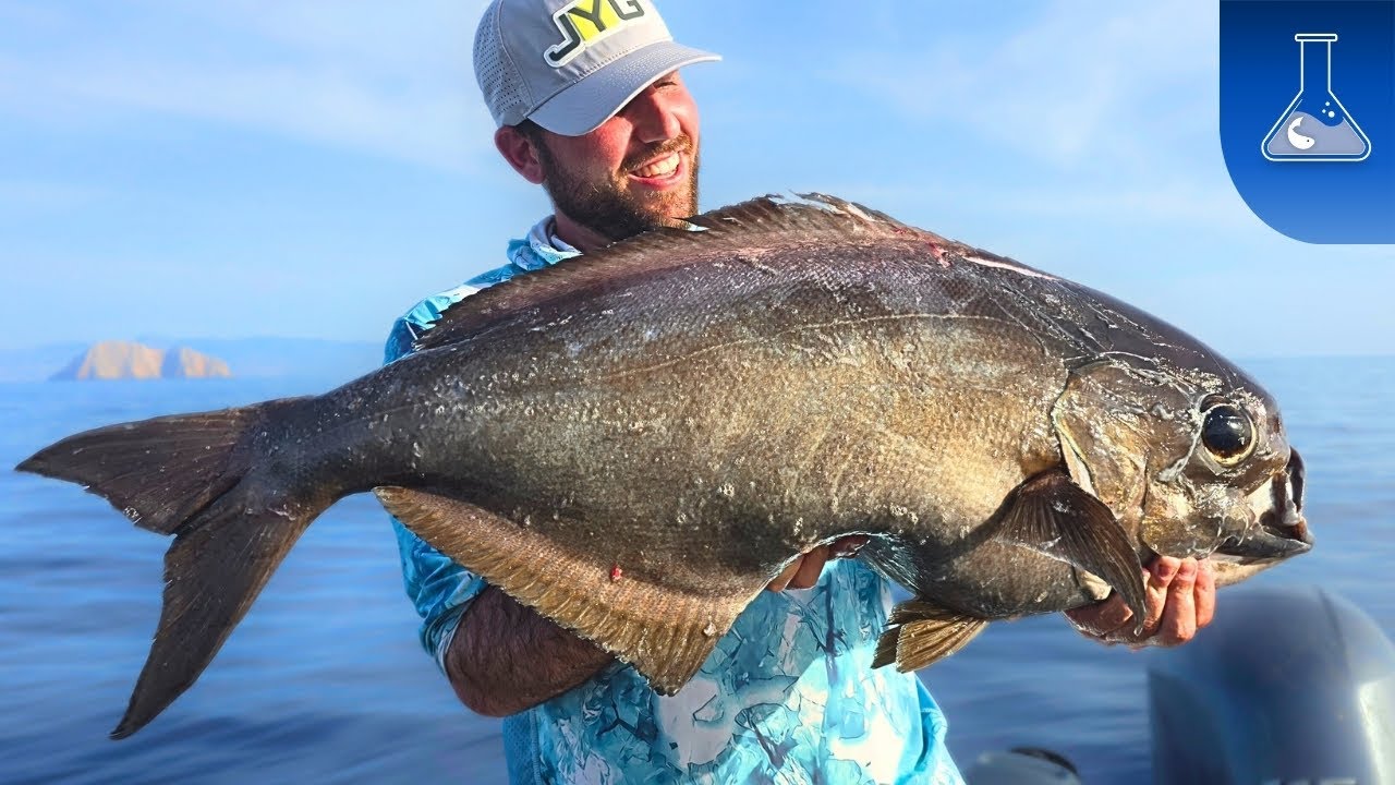 Deep Fishing Masterclass!! Ψάρεμα στα βαθειά με τον Τάσο!! (Eng subs)