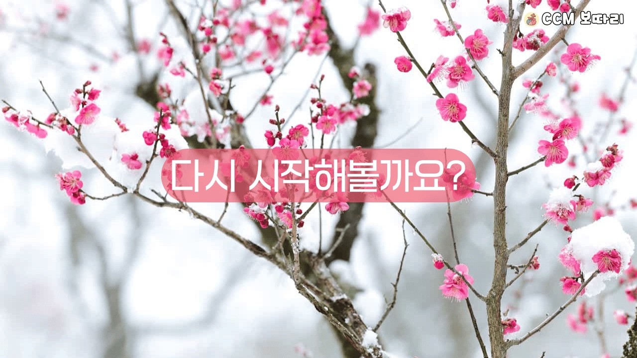 무너진 자리에서 시작된 CCM