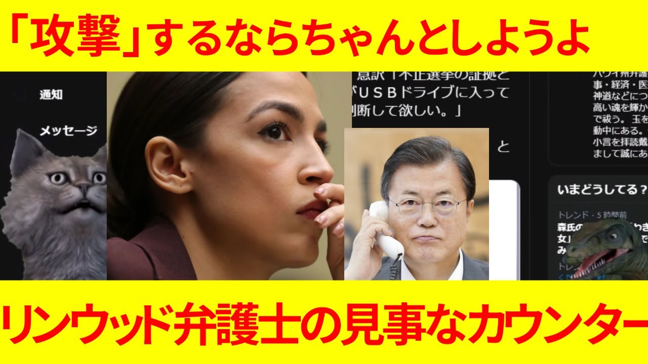 21 02 04 28 攻撃 するならちゃんとしようよ 弁護士懲戒委員会がリンウッドさんを攻撃するも返り討ち 嘘つき極左議員で話題持ち切り 今日のほっこり韓国 アメリカ大統領選挙 韓国問題 Yayafa