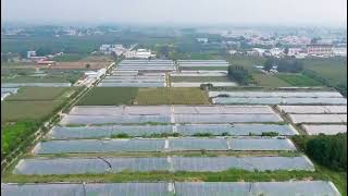 Download Lagu AnYou greenhouse | Film greenhouse MP3