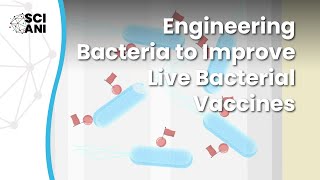 Could we make better live vaccines by teaching cells to perform new chemistry?