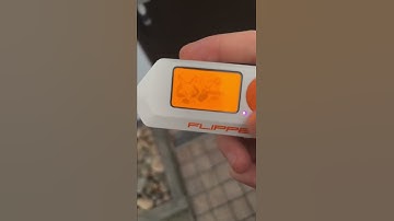 Flipper Zero Used As Room Key