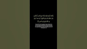 كروما قران كريم شاشه سوداء .من سوره الشورى تلاوه فارس عباد