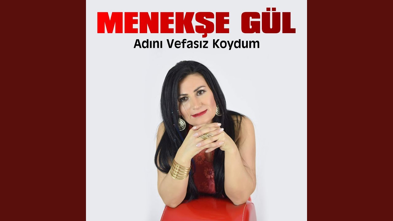 Dağlar Girdi Aramıza