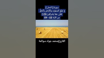 سورة النحل 03-09: القارئ/محمد جواد سوالمة