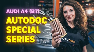 How to change oil filter and engine oil on AUDI A4 B7 Saloon [TUTORIAL AUTODOC]