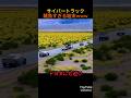 テスラ本国の評判大丈夫？ #車好き #車好きと繋がりたい #サイバートラック #テスラ #オフロード