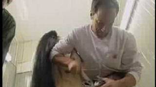 Dirty Jobs: The Dirty Jobs™ Official Music Video