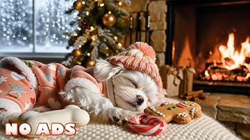 24/7 Rustgevende Hondenmuziek Voor Honden 🐶🎵Anti Angst Muziek voor Diepe Slaap & Ontspanning