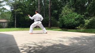 SHOTOKAN 8th KYU KIHON