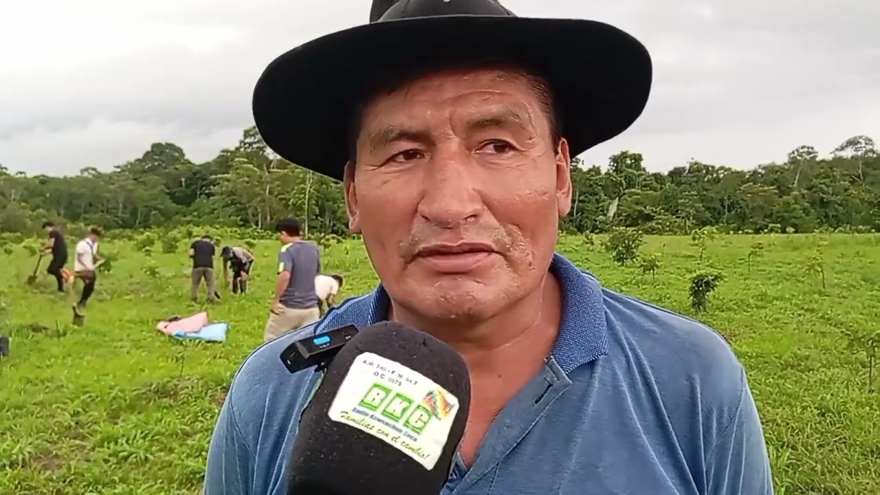 Ayudamos en la plantación de plantines de palta en su chaco de Villa Victoria de Evo Morales