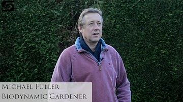 Theosophy by Rudolf Steiner – a reader gives his view