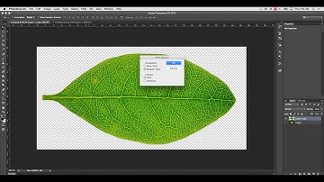 Creating Textures with Transparency