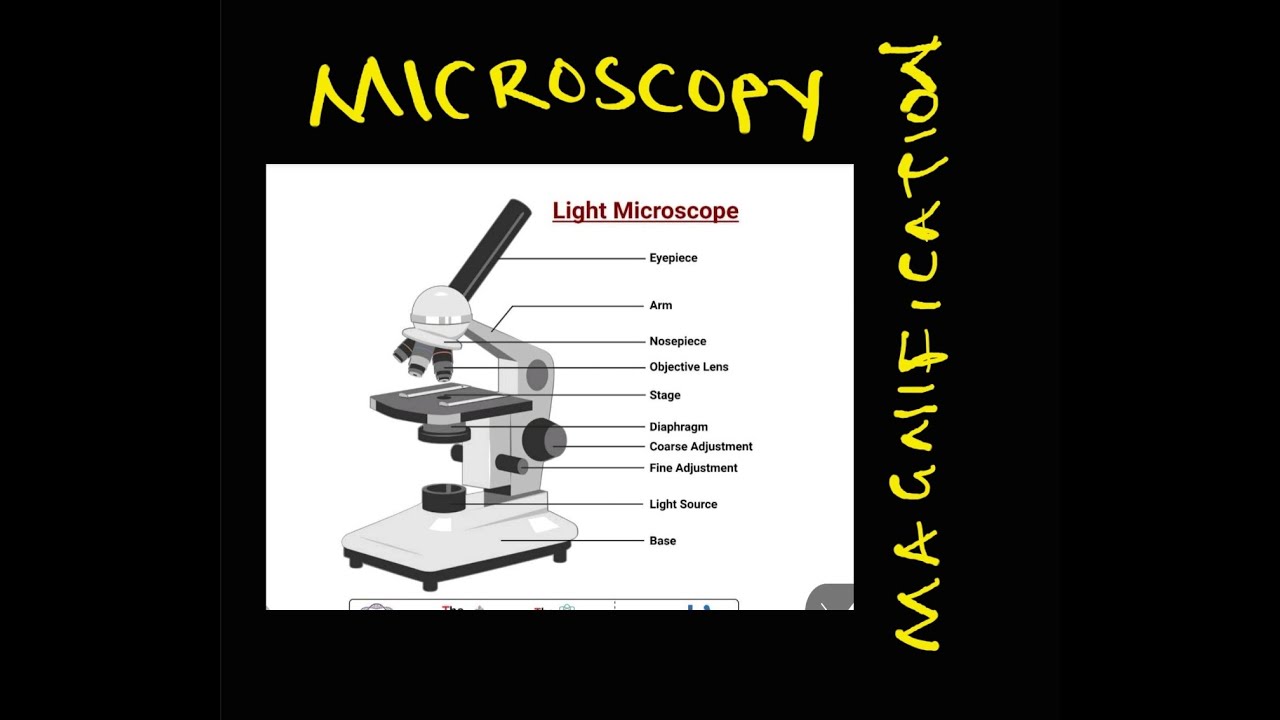 Microscope Mag Magnification and Microscopy - YouTube