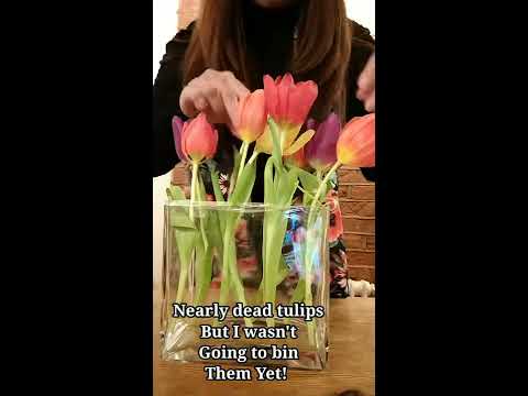 How to make Tulip Stand Upright Simple Tricks | Tulips Arrangement