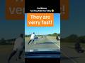 Go.. Go... #YouTubeShorts #ViralShorts #FYP #FunnyVideos #TryNotToLaugh #FunnyMoments #SoFunny