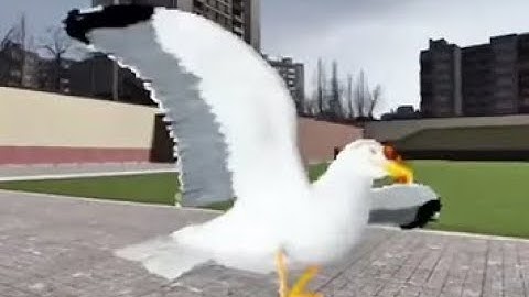 Gmod Seagull Dancing