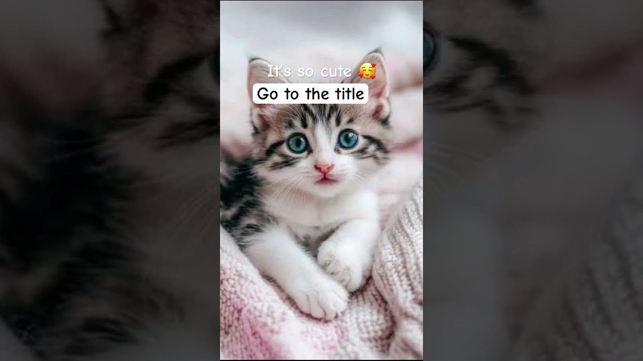 Write your name in comments and I will shout out 