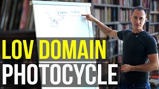A whiteboard tour of the LOV domain photocycle