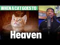 Do pets really go to heaven