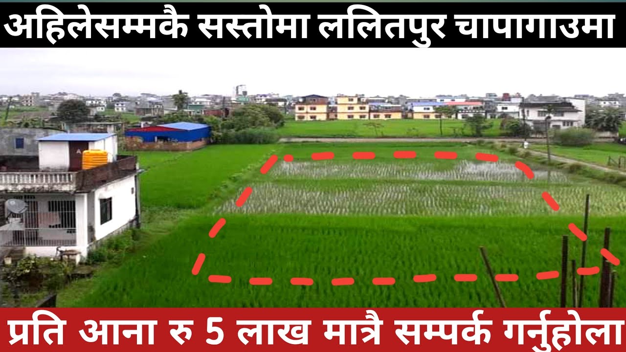 सस्तोमा जग्गा बिक्री ललितपुरमाSasto Ghar Jagga NepalLand sale in chapagaunReal estate house