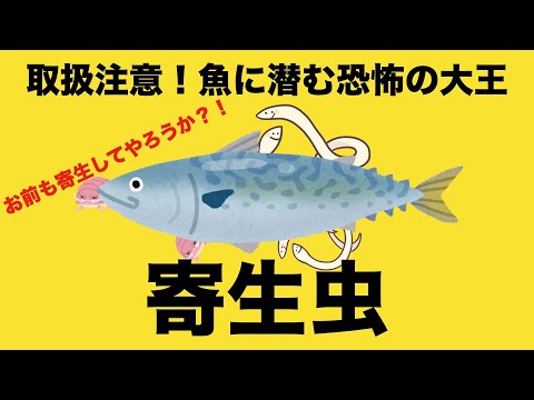 取扱注意！魚に潜む恐怖の大魔王　寄生虫