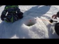 Зимняя рыбалка на водохранилище / Winter fishing on the reservoir