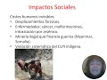 Impactos en la minería de tierras raras