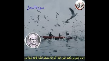سورة النحل