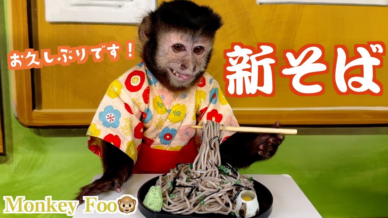 It's been a while, everyone! Monkey Fu-chan🐒 New soba noodles