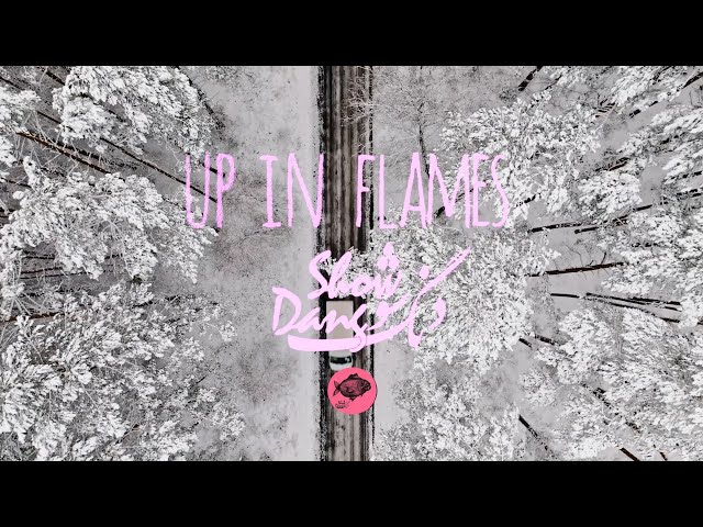 Dang Show - Up In Flames