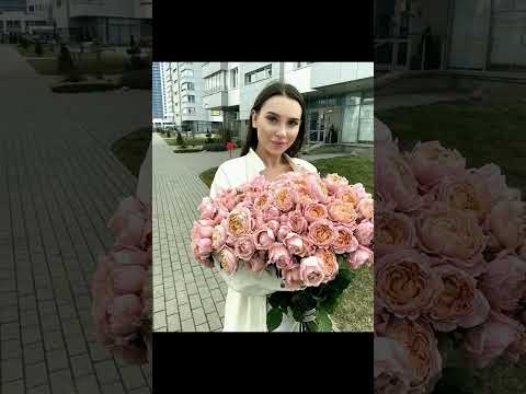 а4 Команда. новая серия а4 / влад бумага а4! а4 новое видео. шортс. а4 новый ролик! новое видео а4