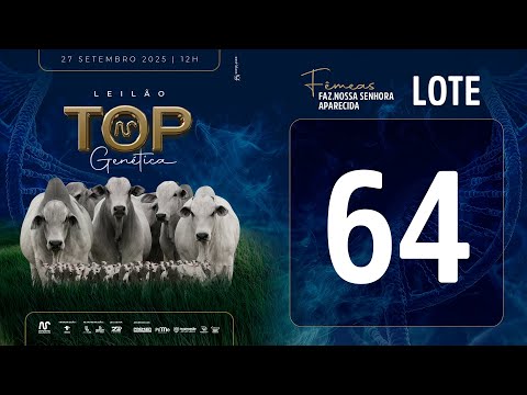 LOTE 64 FSM A2448