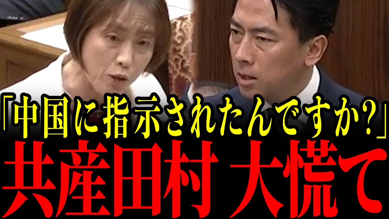 ※共産田村にここまで言うとは…小泉大臣の核心を突く一撃で正体がバレ青ざめる瞬間…【小泉進次郎/自民党/田村智子/日本共産党】