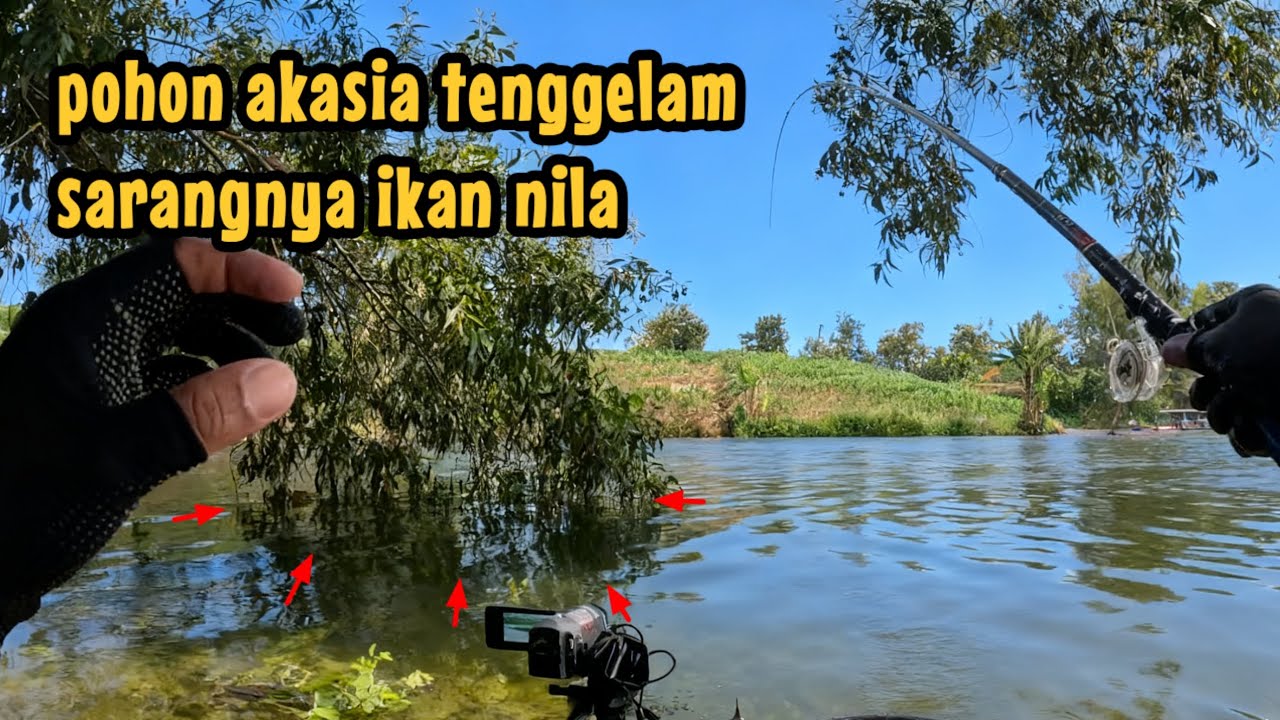 DASAR REJEKI🔥‼️ NEMU SPOT BARU TERNYATA SARANG IKAN NILA || mancing ikan nila di waduk pondok