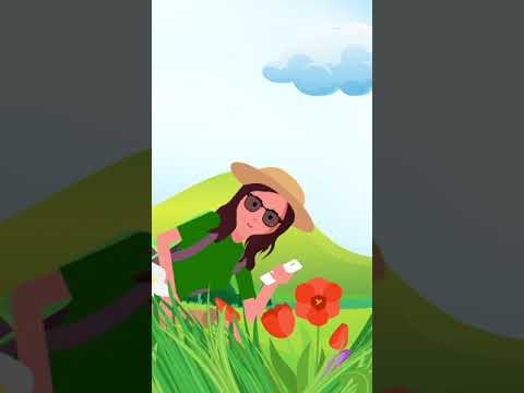 Click to Play Video