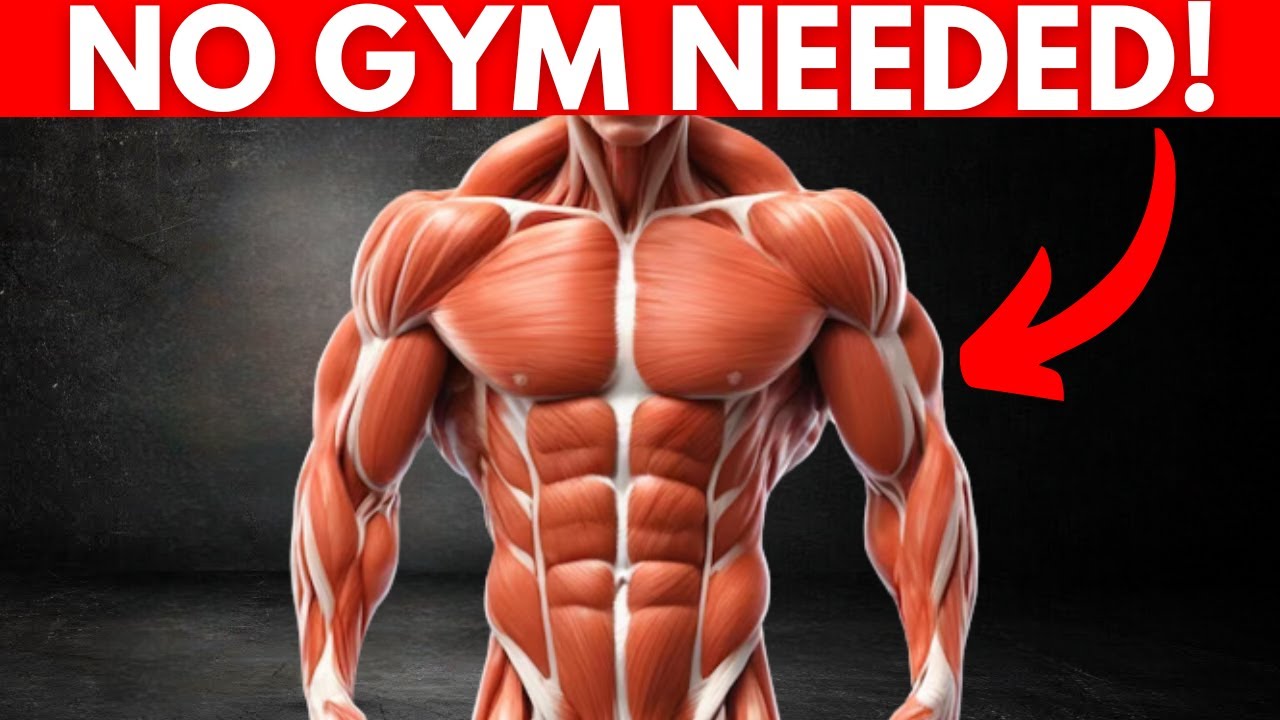 How to Build Muscle at Home (No Weights Needed) - YouTube