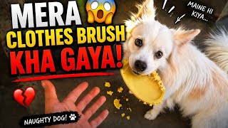 3Rd Time? Mera Dog Sudhar Hi Nahi Raha