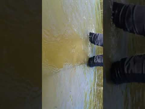 Just some fun in the water