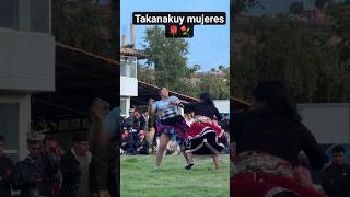 Lindas Chicas Se Miden En Pelea