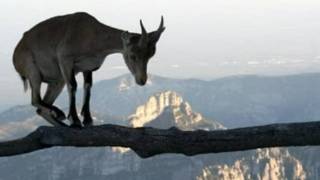 Stadio - Equilibrio Instabile.wmv
