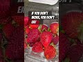 I Had To EatЁЯТпЁЯТпЁЯФеЁЯШБ I Had To EatЁЯТпЁЯТпЁЯФеЁЯШБ