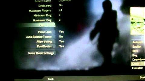 PC Cod4 Mod Menu Voice!