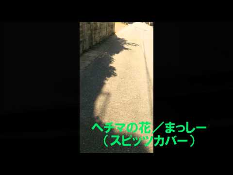 ヘチマの花／まっしー（スピッツカバー）